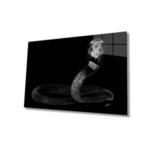 Yılan Hayvan Cam Tablo 36x23 cm