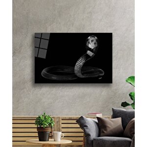 Yılan Hayvan Cam Tablo 36x23 cm