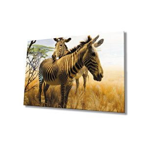 Zebra Hayvan Cam Tablo 50x70 cm
