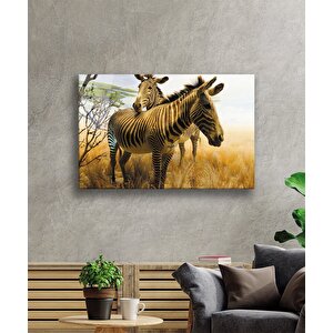 Zebra Hayvan Cam Tablo 50x70 cm