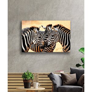 Zebra Hayvan Cam Tablo 90x60 cm