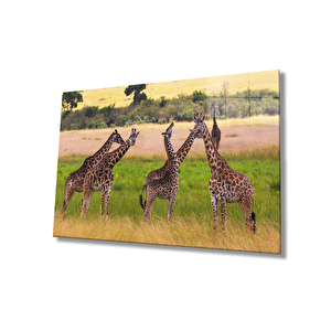 Zürafa Hayvan Cam Tablo 50x70 cm