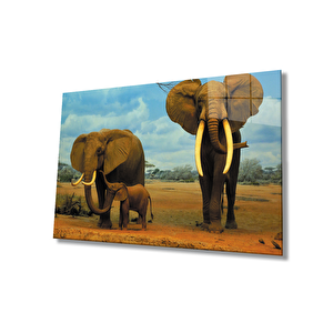 Fil Hayvan Cam Tablo 50x70 cm