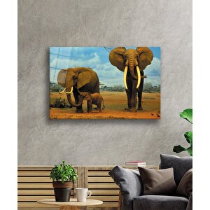 Fil Hayvan Cam Tablo 50x70 cm
