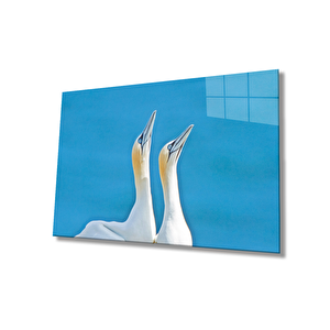 Pelikan Hayvan Cam Tablo 50x70 cm