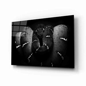 Yılan Hayvan Cam Tablo 110x70 cm