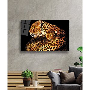 Hayvan Leopar Cam Tablo 50x70 cm