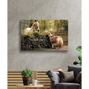At Hayvan Cam Tablo 50x70 cm