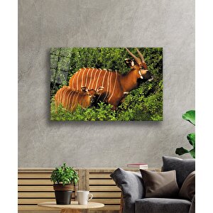 Bongo Hayvan Cam Tablo 110x70 cm