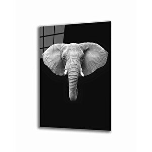 Fil Hayvan Cam Tablo 50x70 cm
