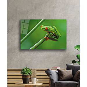 Yeşil Kurbağa Hayvan Cam Tablo 50x70 cm