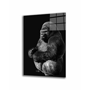 Goril Hayvan Cam Tablo 50x70 cm