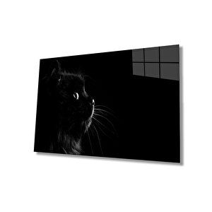 Kedi Hayvancam Tablo 36x23 cm