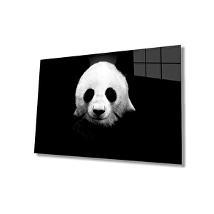 Panda Hayvan Cam Tablo 50x70 cm