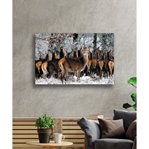 Kızıl Geyik Hayvan Cam Tablo 50x70 cm