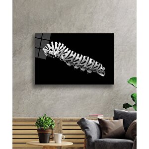 Tırtıl Hayvan Cam Tablo 50x70 cm