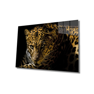 Leopar Hayvan Cam Tablo, Leopard 90x60 cm