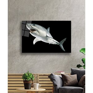 Köpek Balığı Hayvan Cam Tablo 50x70 cm