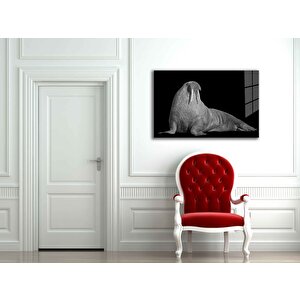 Deniz Aslanı Hayvan Cam Tablo 50x70 cm
