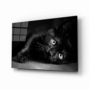 Kedi Hayvancam Tablo 50x70 cm