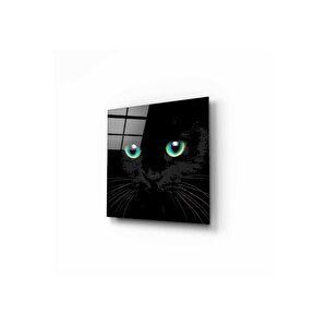 Kedi Cam Tablo 50x50 cm