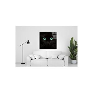 Kedi Cam Tablo 50x50 cm