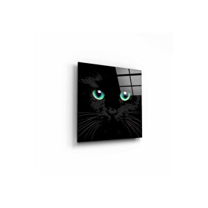 Kedi Cam Tablo 50x50 cm