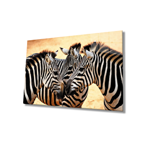 Zebra Hayvan Cam Tablo 36x23 cm