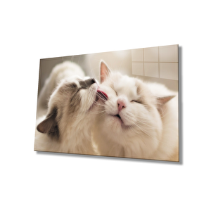 Kedi Cam Tablo 110x70 cm