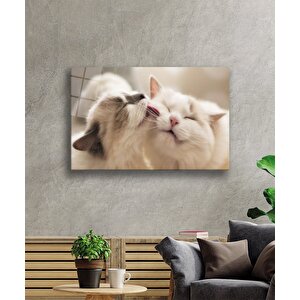 Kedi Cam Tablo 36x23 cm