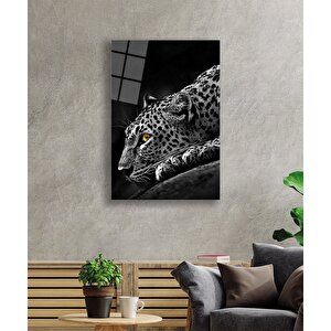 Kaplan Hayvan Siyah Beyazcam Tablo 110x70 cm