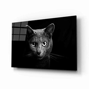 Kedi Hayvancam Tablo 90x60 cm