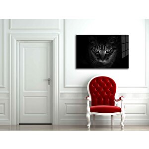 Kedi Hayvancam Tablo 110x70 cm