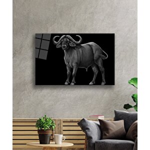 Bufalo Hayvan Cam Tablo 90x60 cm