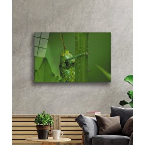 Yeşil Hayvan Çekirge Cam Tablo 110x70 cm