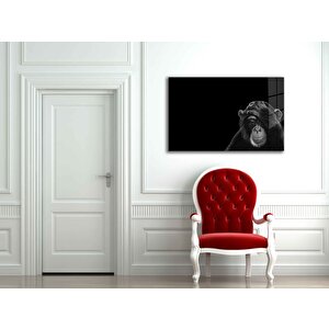 Maymun Hayvan Cam Tablo 50x70 cm