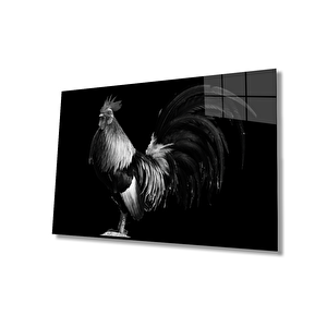 Horoz Hayvan Cam Tablo 50x70 cm