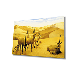 Ceylan Hayvan Cam Tablo 36x23 cm
