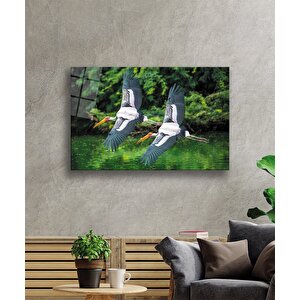 Leylek Hayvan Manzara Cam Tablo 50x70 cm