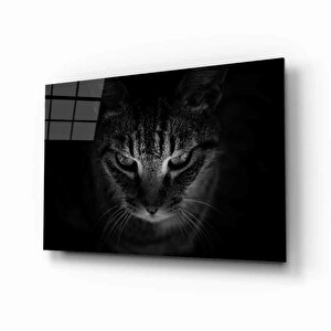 Kedi Hayvancam Tablo