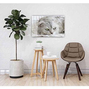 Kedi Cam Tablo 36x23 cm