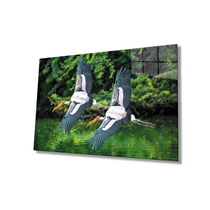 Leylek Hayvan Manzara Cam Tablo 36x23 cm