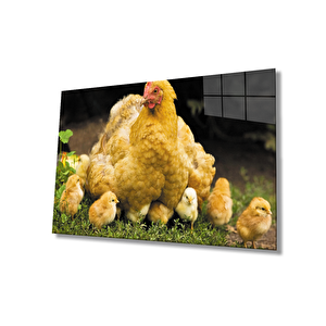 Tavuk Civciv Hayvan Cam Tablo 36x23 cm