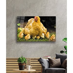 Tavuk Civciv Hayvan Cam Tablo 36x23 cm