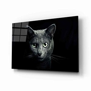 Kedi Hayvancam Tablo 36x23 cm