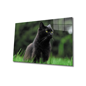 Kedi Cam Tablo 36x23 cm