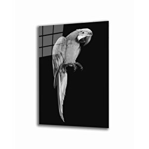 Papağan Hayvan Cam Tablo 50x70 cm