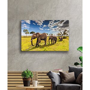 Fil Hayvan Cam Tablo 36x23 cm