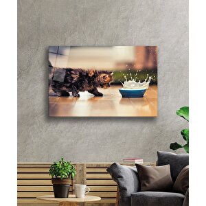 Kedi Cam Tablo 50x70 cm