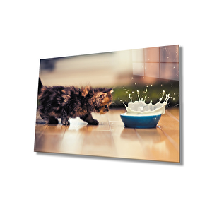 Kedi Cam Tablo 36x23 cm